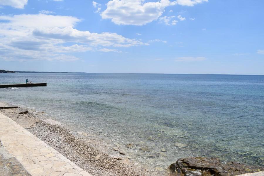 Apartment Matea Novigrad  ภายนอก รูปภาพ
