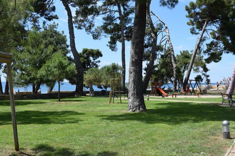 Apartment Matea Novigrad  ภายนอก รูปภาพ